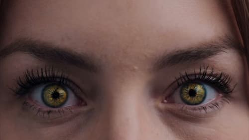 El extraño retorno de Diana Salazar Bild 5