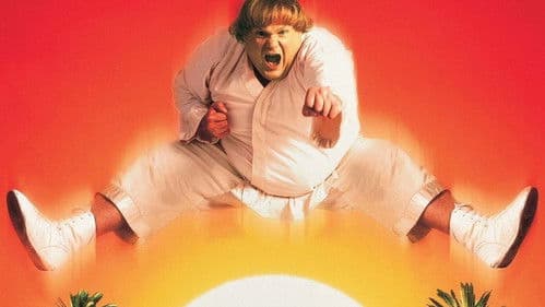 Beverly Hills Ninja - Die Kampfwurst Bild 7