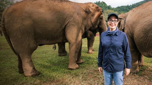 Sue Perkins: Lost in Thailand Bild 1