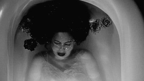 Lick the Star Bild 5