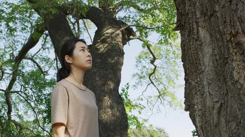 비밀의 정원 Bild 4