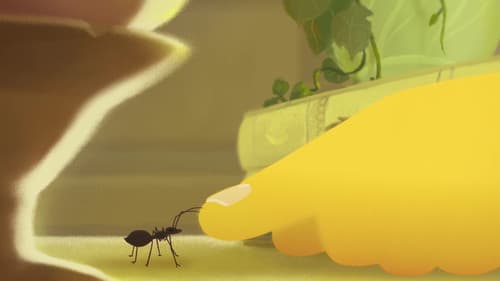 The Shyness of Trees Bild 6