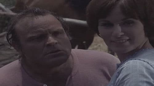 Big John macht Dampf Bild 2