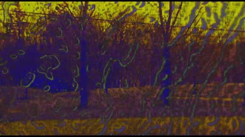 Joose Psychedelia Test Bild 1