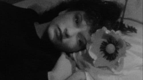 Meshes of the Afternoon Bild 4