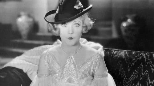 The Cardboard Lover Bild 4