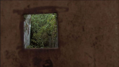 A Última Vez Que Vi Macau Bild 5