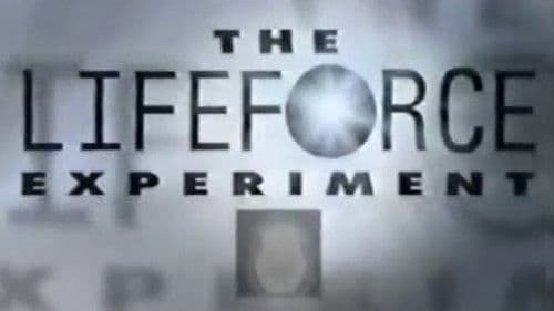 Experiment des Grauens Bild 3