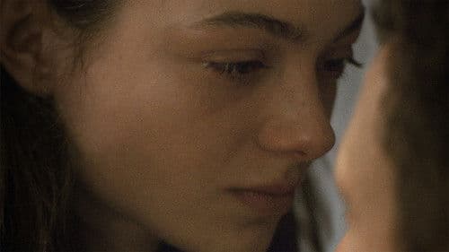 Palm Trees and Power Lines Bild 4