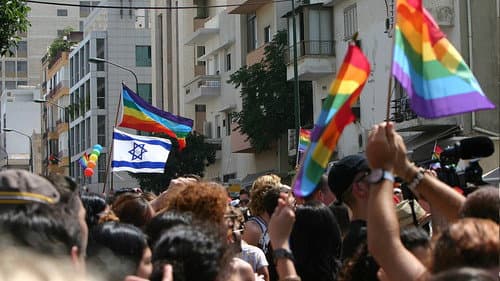 הזמן הוורוד Bild 1