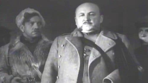 Год девятнадцатый Bild 1