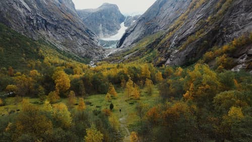 Lieder der Erde Bild 6