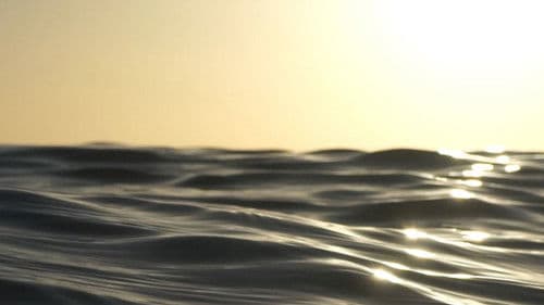 Zone Frequency Bild 1