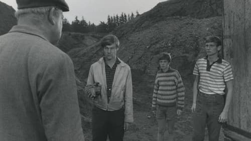 Der Junge, der Pferde liebte Bild 6