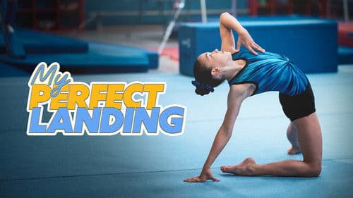 My Perfect Landing Bild 3