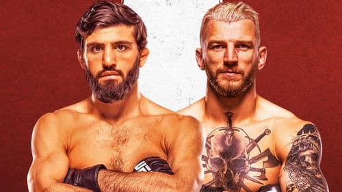 UFC Fight Night 265: Tsarukyan vs. Hooker Bild 3