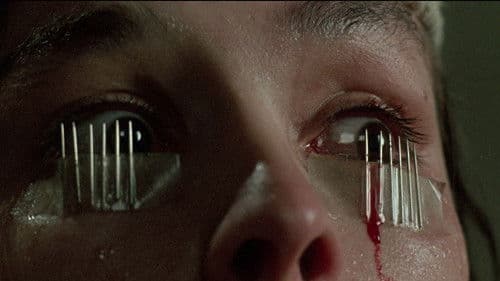 Dario Argento: An Eye for Horror Bild 1