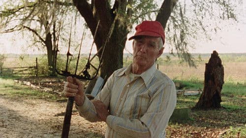 Vernon, Florida Bild 1