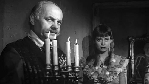 Zwariowana noc Bild 2