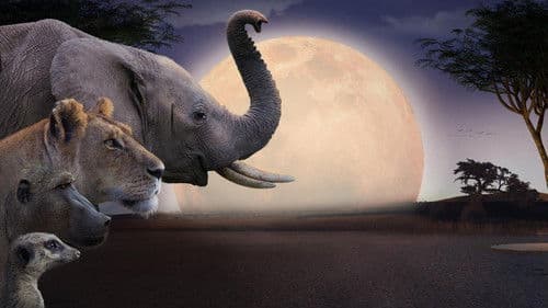 Kalahari, l'autre loi de la jungle Bild 1