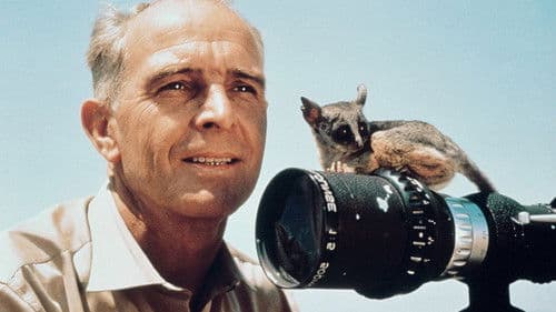 Serengeti darf nicht sterben Bild 1