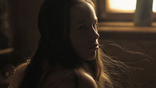 Das Licht in den Birkenwäldern Bild 4