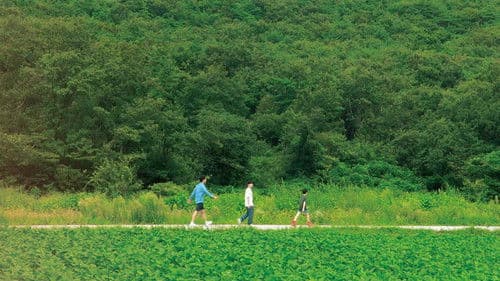 어제의 바람 Bild 1