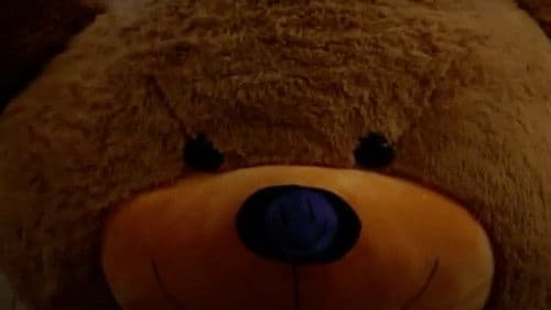 Steven's Last Night in Town Bild 1