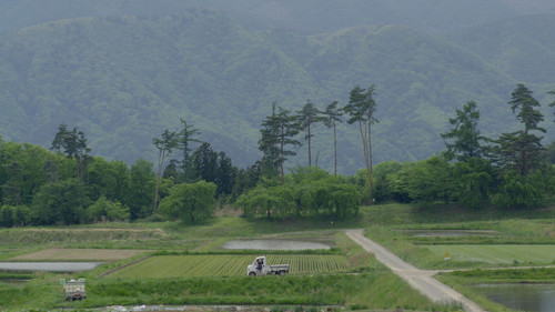 モダン・ラブ Bild 5