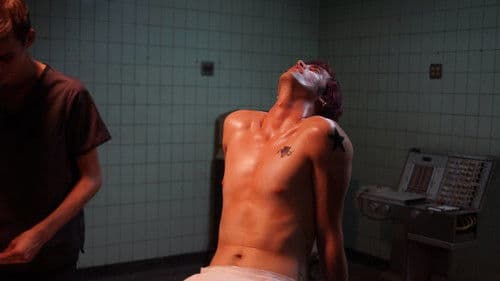 We Are Animals Bild 5