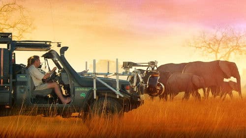 In den Fußstapfen von Elefanten Bild 8