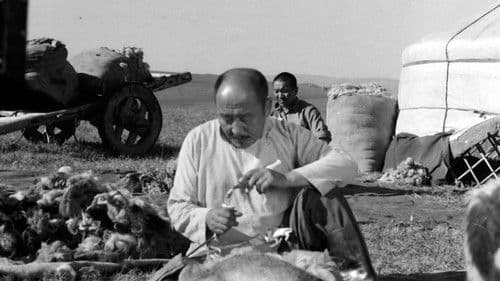 Хөх ногооны униар Bild 1