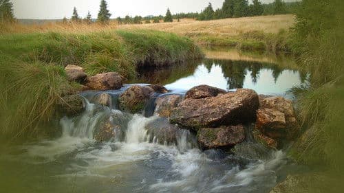 Tajný život skal Bild 1