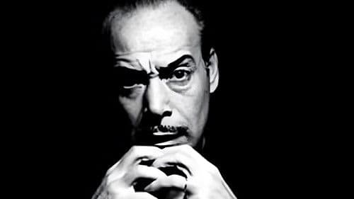 El pulpo negro Bild 1