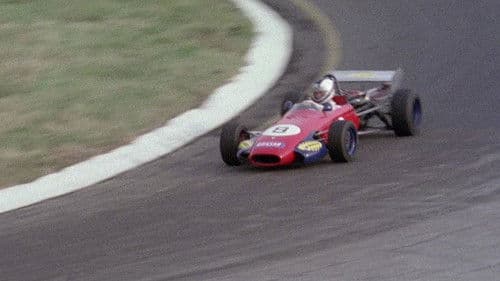 Wie tollwütige Hunde Bild 3