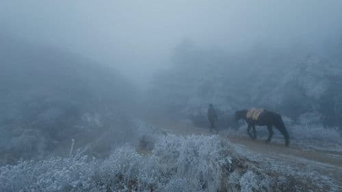 Crossing Borders Bild 2