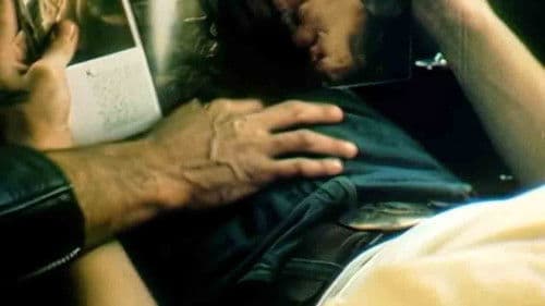 Kansas City Trucking Co. Bild 3