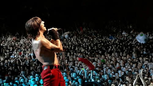 Red Hot Chili Peppers: Live at Slane Castle Bild 1