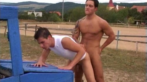 Horsing Around Bild 3