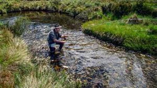 A River Somewhere Bild 2