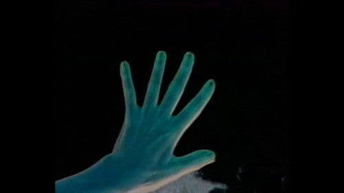 Personal Statement Bild 1