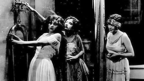 Wine of Youth Bild 6