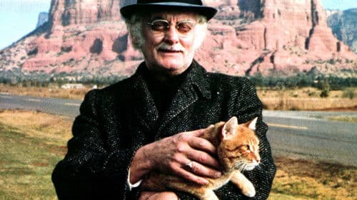 Harry und Tonto Bild 7