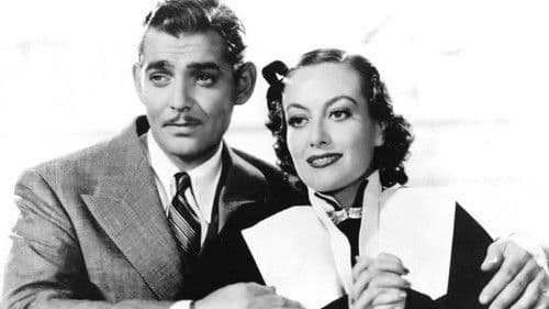 Heirate nie beim ersten Mal Bild 2