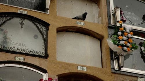 La voz de Thaïs Bild 1