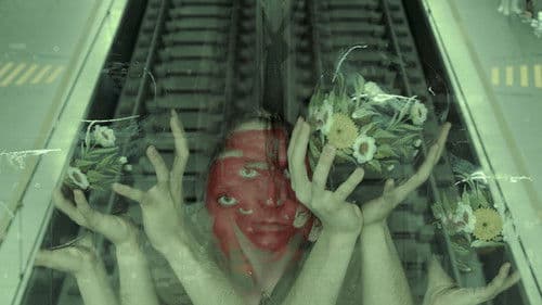 Oxímora Vida... Bild 1