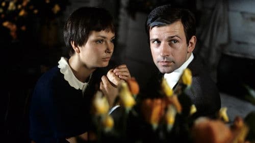 Der Kurpfuscher Bild 2