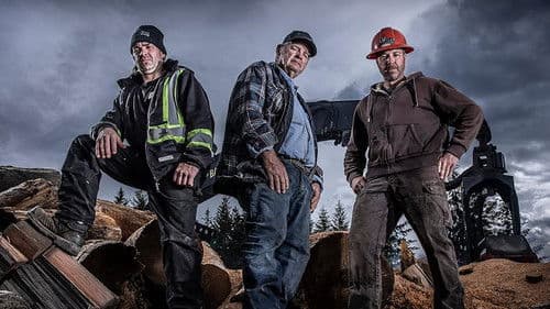 Mud Mountain Truckers Bild 2