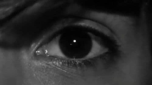 Heads or Tails Bild 2