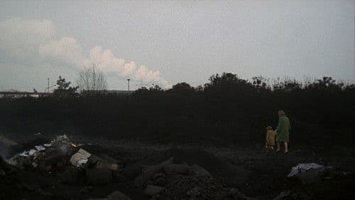 Die rote Wüste Bild 2